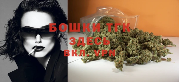 стаф Елабуга