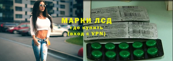 стаф Елабуга