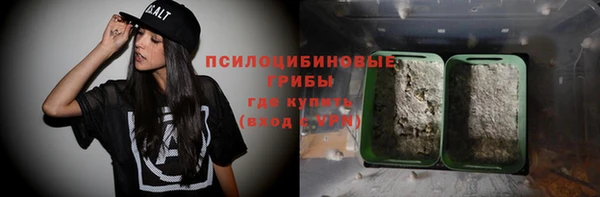 стаф Елабуга
