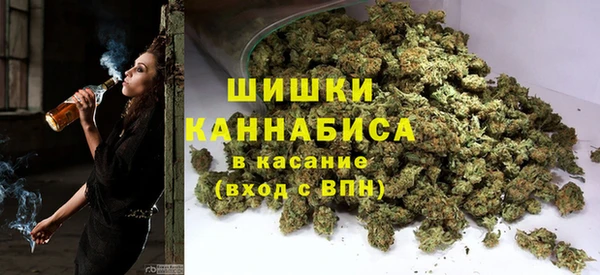 стаф Елабуга