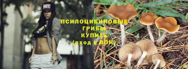 экстази Дмитровск