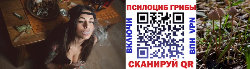 Галлюциногенные грибы MAGIC MUSHROOMS  Лысьва 