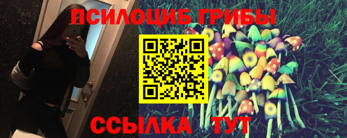 Псилоцибиновые грибы мицелий Лысьва