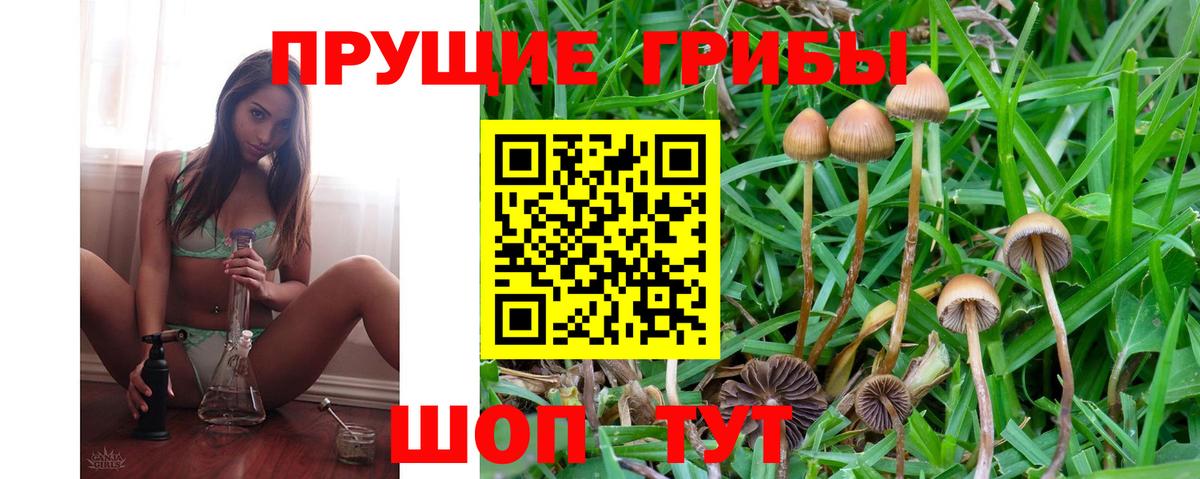 Лысьва  Галлюциногенные грибы GOLDEN TEACHER  Вход с VPN 